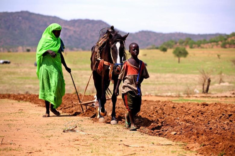Agriculture is the dominant industry in Chad